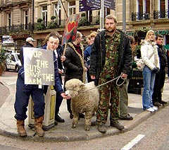 “Capital of Culture? Not for poor people!” Alex the sheep joins demonstrators outside the Town Hall.