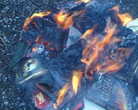 Burning Books