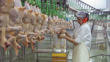 Photograph from Austrian documentary 'Our Daily Bread' (2005)