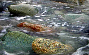 Friog Rocks by Tony Griffiths