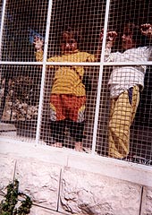 Palestinian Children playing in safety from settlers
