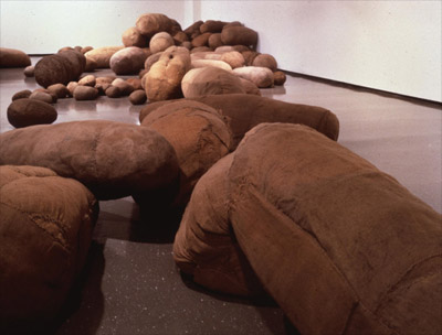 Magdalena Abakanowicz - Embryology