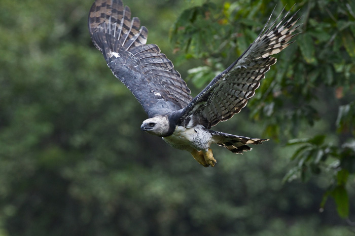 Habitat Brazil: Photography Exhibition