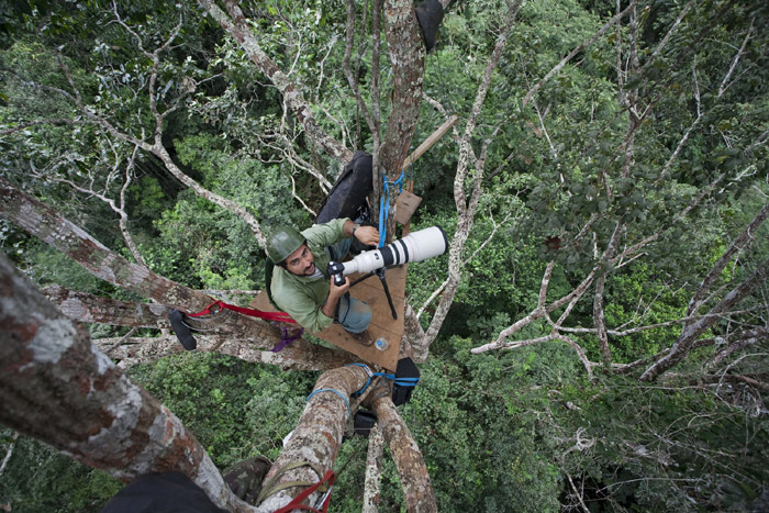 habitat-brazil3