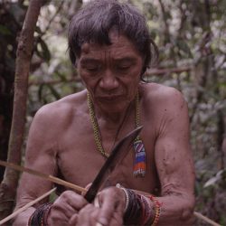 Tawai: A Voice From The Forest (U)