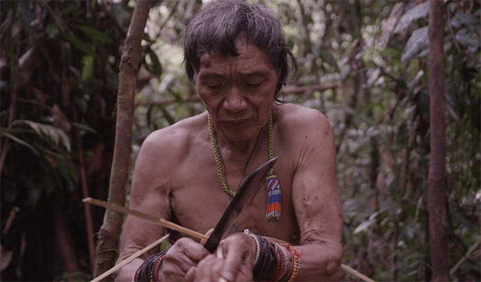 Tawai: A Voice From The Forest (U)