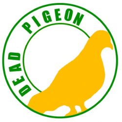 Dan Carden MP hosts Dead Pigeon Gallery