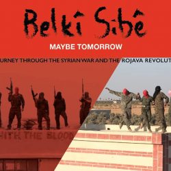 Making films inside the Rojava Revolution: An interview with Alexis Daloumis