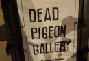 Dead Pigeon Gallery
