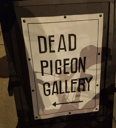 Dead Pigeon Gallery
