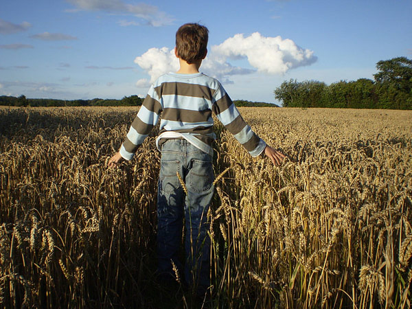 One Boy Stood in the Field