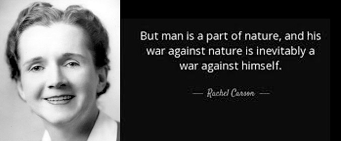 Rachel Carson: The Non-human Perspective