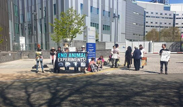 Vivisection Exposed: Painful Animal Experiments at Liverpool University