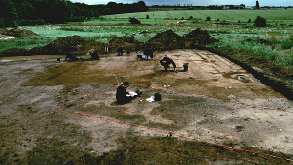 The Archaeology of Merseyside in 20 Digs