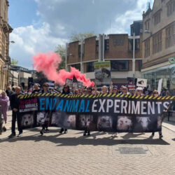 Activists continue fight for recognition of Animal Sentience on World Day for Animals in Labs