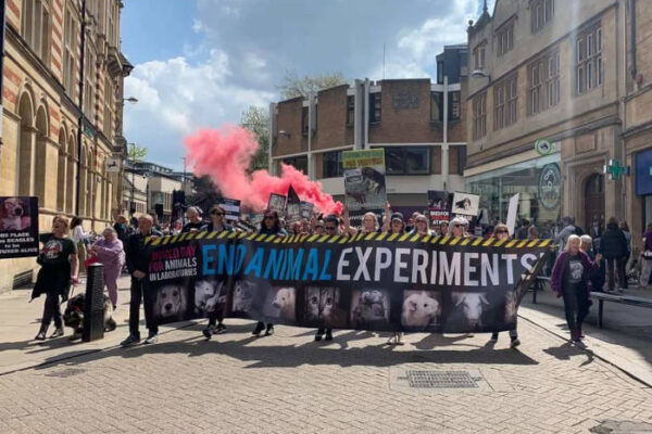Activists continue fight for recognition of Animal Sentience on World Day for Animals in Labs