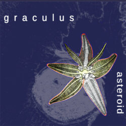Review of Asteroid by Graculus