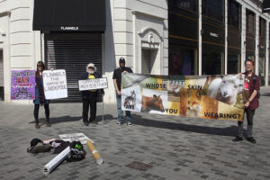 Protest against Flannels sale of real fur on the day its huge new department store opens